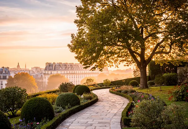 jardin paysager sur une colline au coucher du soleil avec arbre et chemin en pierre